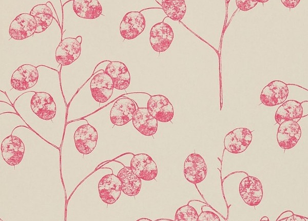 Обои Sanderson Parchment Flowers DPFWHO104