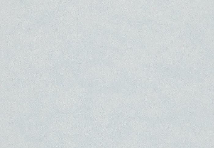 Обои Sanderson Portfolio 4 DPFWPP106