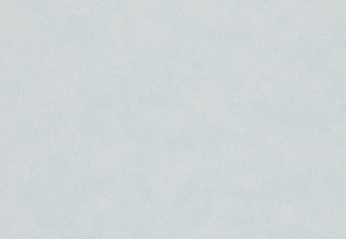 Обои Sanderson Portfolio 4 DPFWPP106
