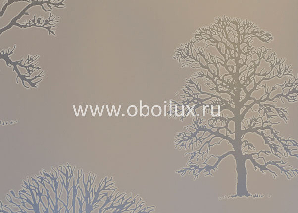 Обои Osborne & Little Walk in the Park W5870-04