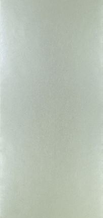 Обои Designers Guild Tsuga P502/21