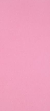 Обои Designers Guild Tsuga P502/45