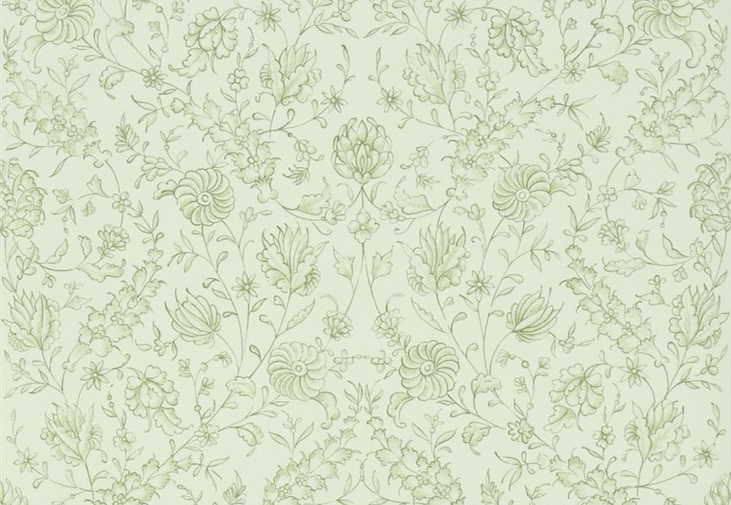Обои The Royal Collection Rosa Chinensis PQ009/15