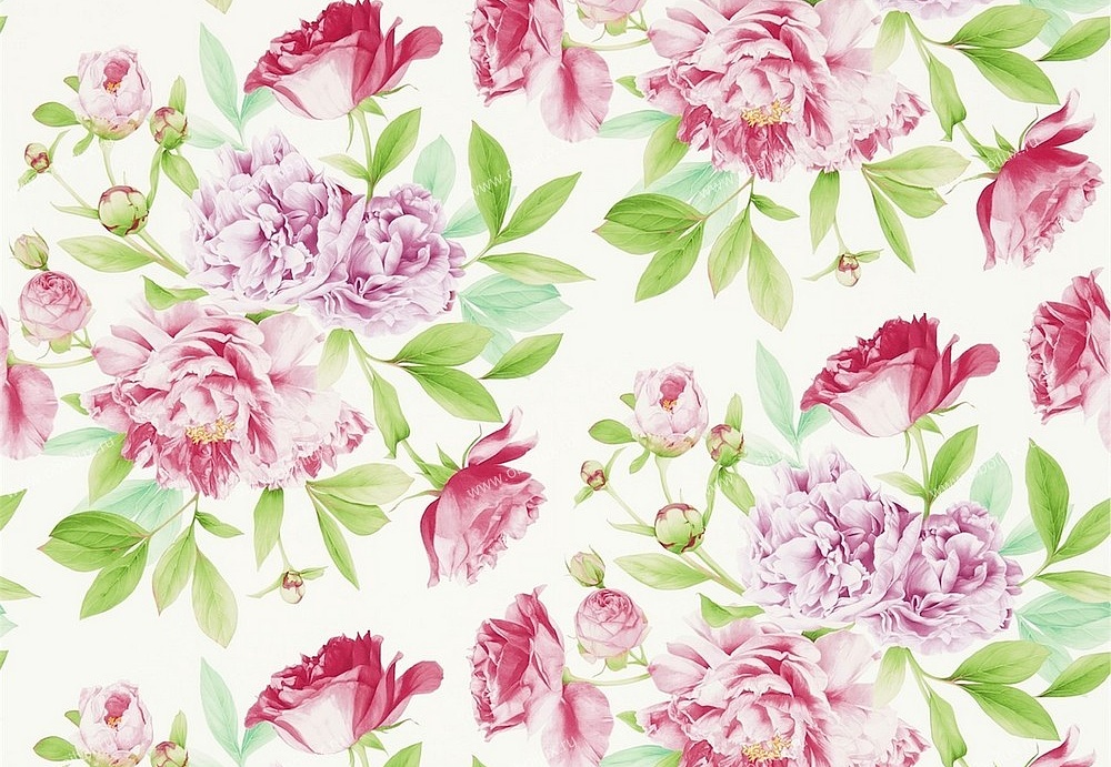 Обои Zoffany Woodville 311359