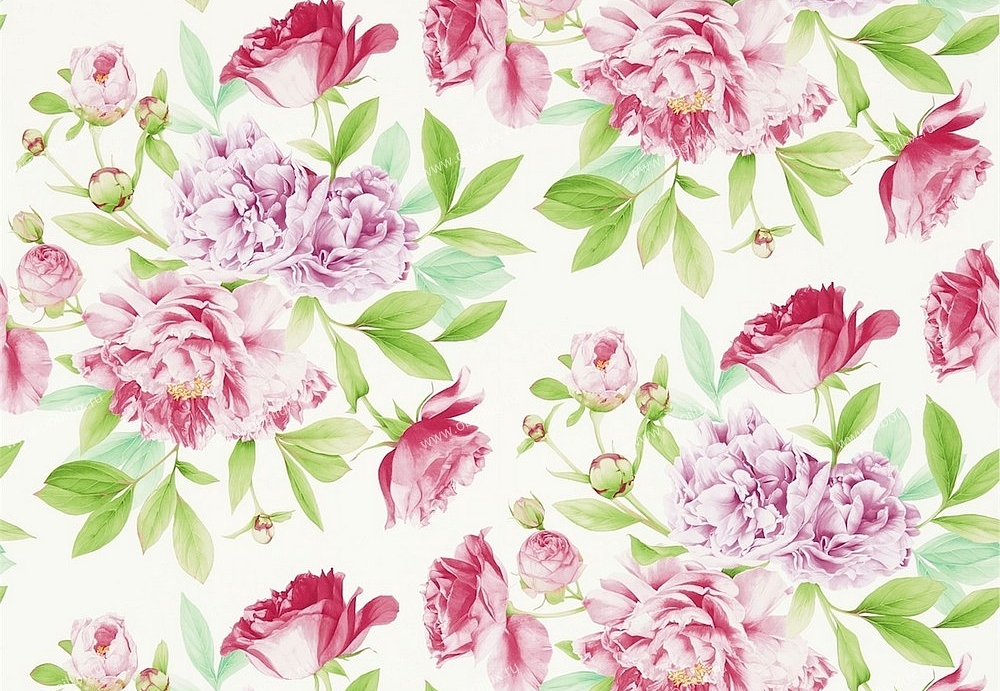 Обои Zoffany Woodville 311359