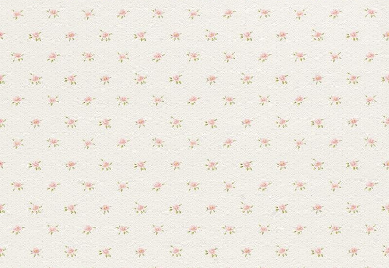 Обои Rasch Petit Fleur 4 289113