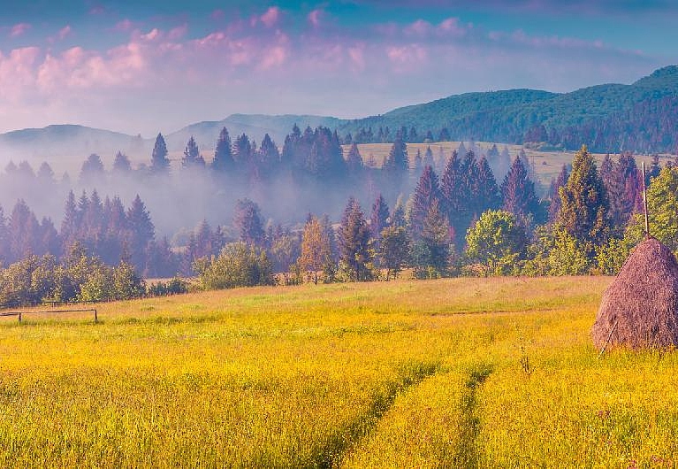 Панно и фотообои Affresco Фрески и фотообои ID13452