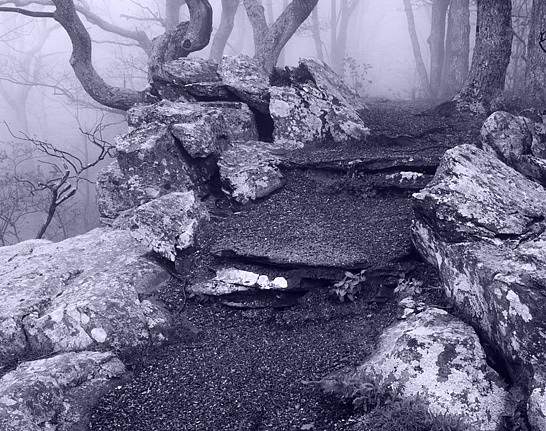 Панно и фотообои Affresco Фрески и фотообои ID13472