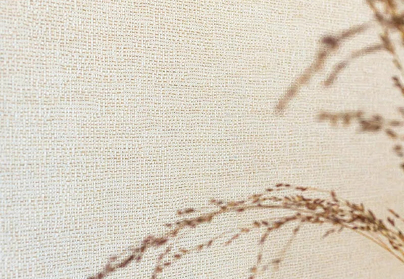 Обои Pierre Frey Natecru Textures n.3 FP019001
