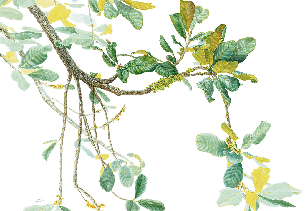Панно и фотообои Tecnografica Collection 2021 78612-1