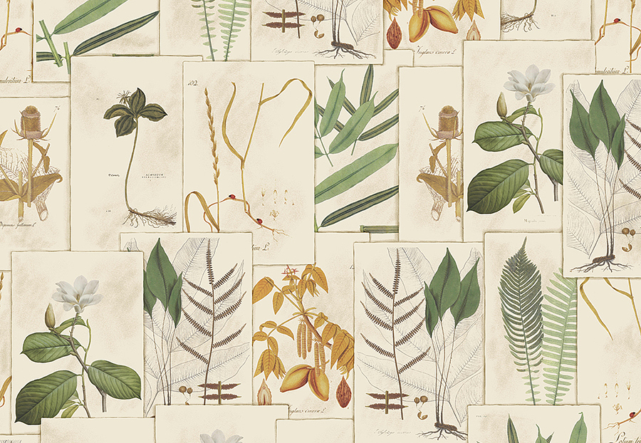 Панно и фотообои Vervain Barry Dixon 9WA112/01