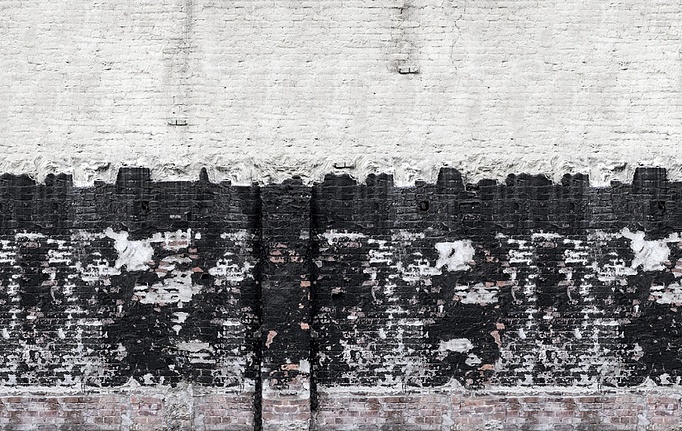 Шведские панно и фотообои Rebel Walls, коллекция No 7 Curious, артикул R14281