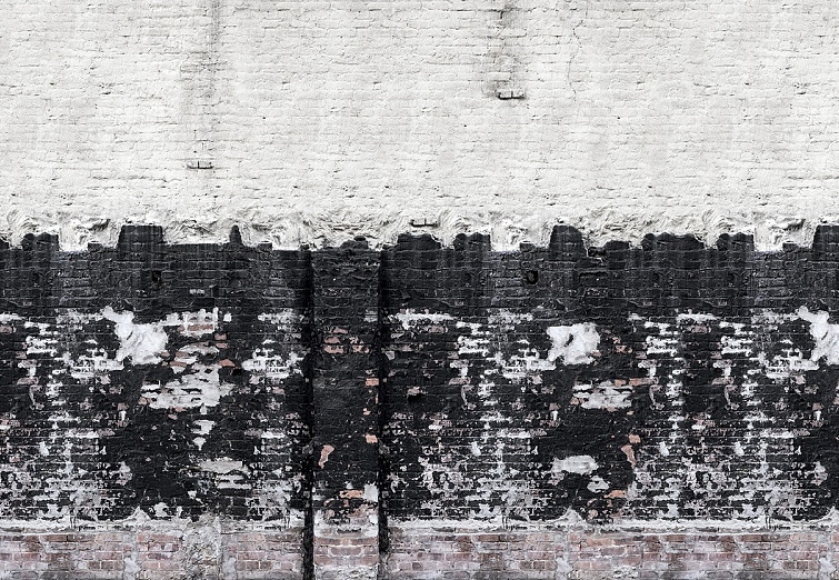 Панно и фотообои Rebel Walls No 7 Curious R14281