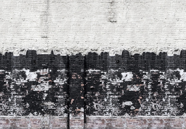 Панно и фотообои Rebel Walls No 7 Curious R14281