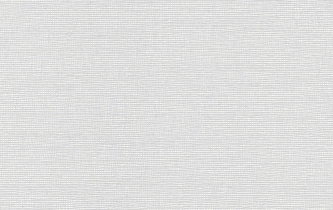 Немецкие обои A. S. Creation, коллекция Meistervlies, артикул 2460-11