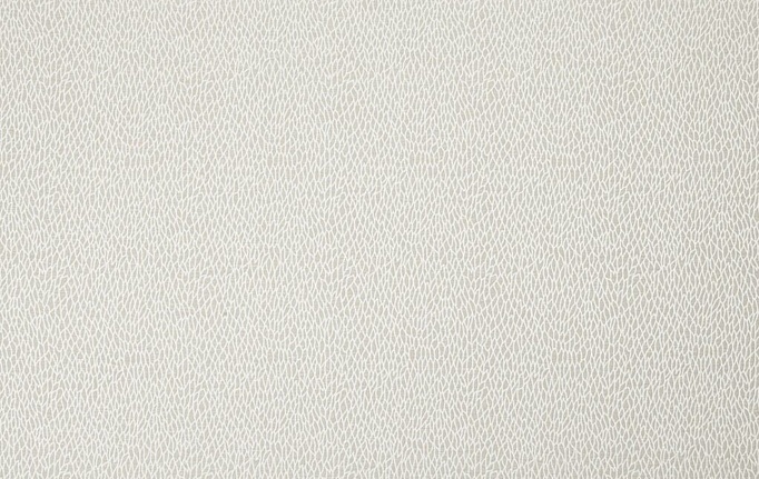 Английская ткань Ashley Wilde, коллекция Essential Weaves Vol. 2, артикул Roxton/Champagne