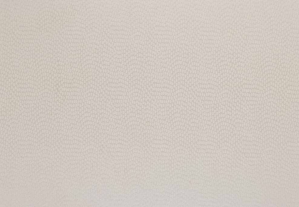 Ткань KAI Aravalli Sudetes/Champagne