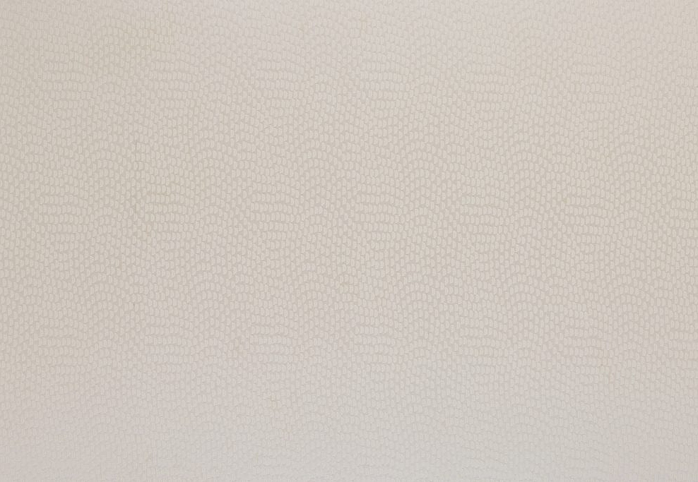 Ткань KAI Aravalli Sudetes/Champagne