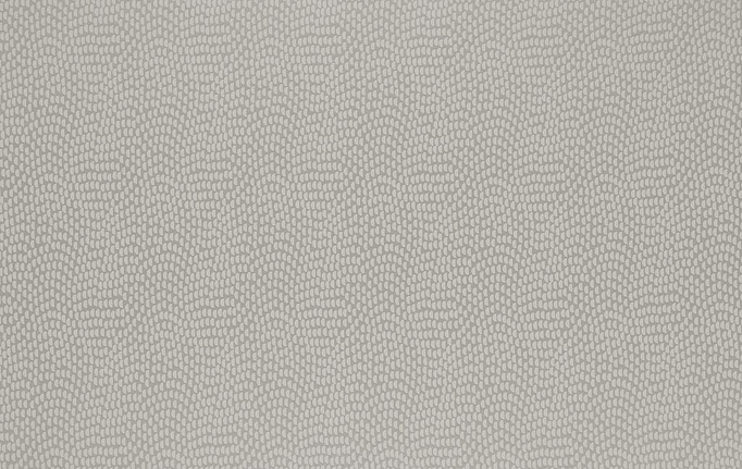 Английская ткань KAI, коллекция Aravalli, артикул Sudetes/Silver