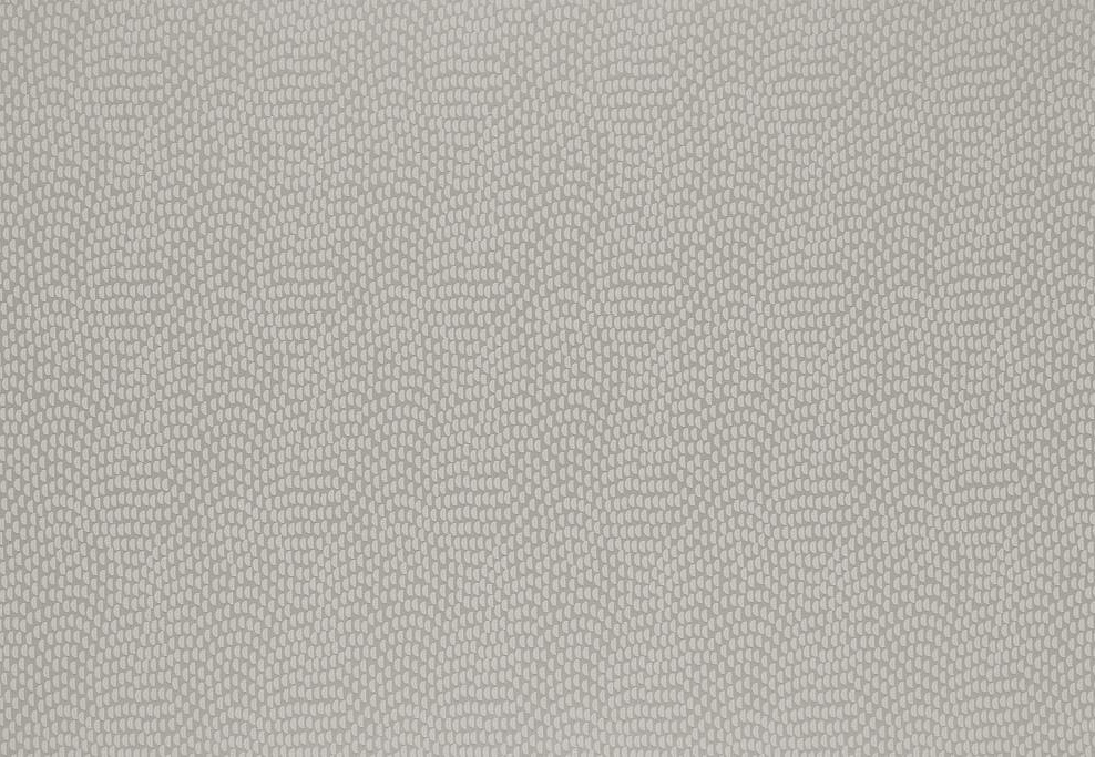 Ткань KAI Aravalli Sudetes/Silver