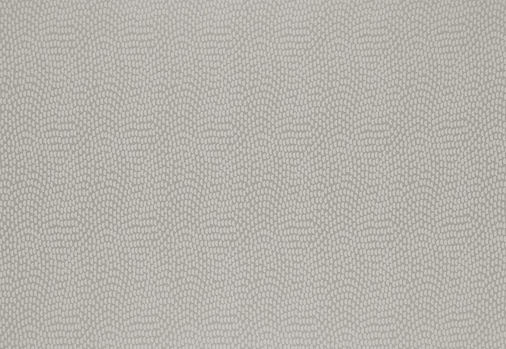 Ткань KAI Aravalli Sudetes/Silver