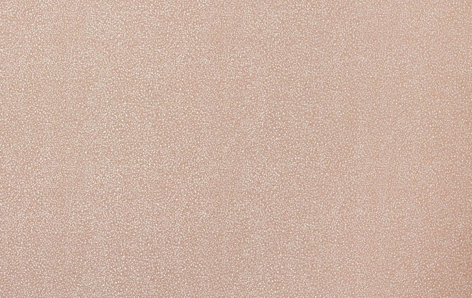 Английская ткань KAI, коллекция Mirage, артикул Metsi/Rose
