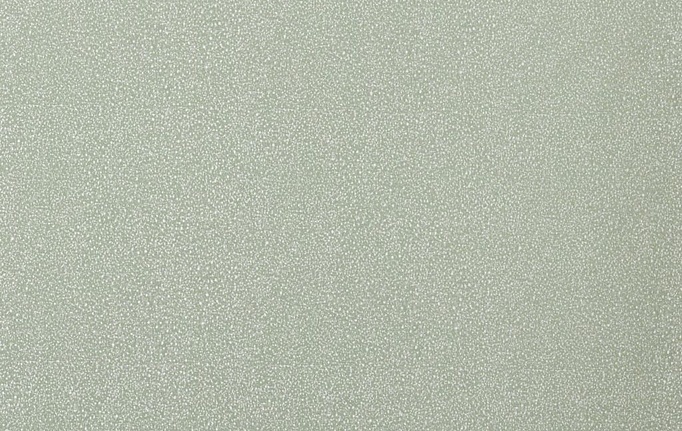 Английская ткань KAI, коллекция Mirage, артикул Metsi/Aloe