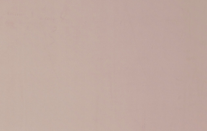 Английская ткань KAI, коллекция Botanical Escape, артикул Koji/Plaster