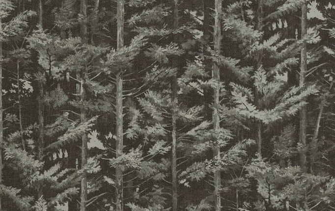 Английская ткань KAI, коллекция Heathland, артикул Balsham/Bark