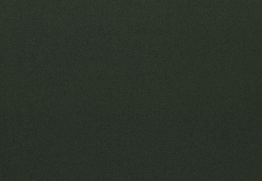Ткань Designers Guild Loden FDG3009/12