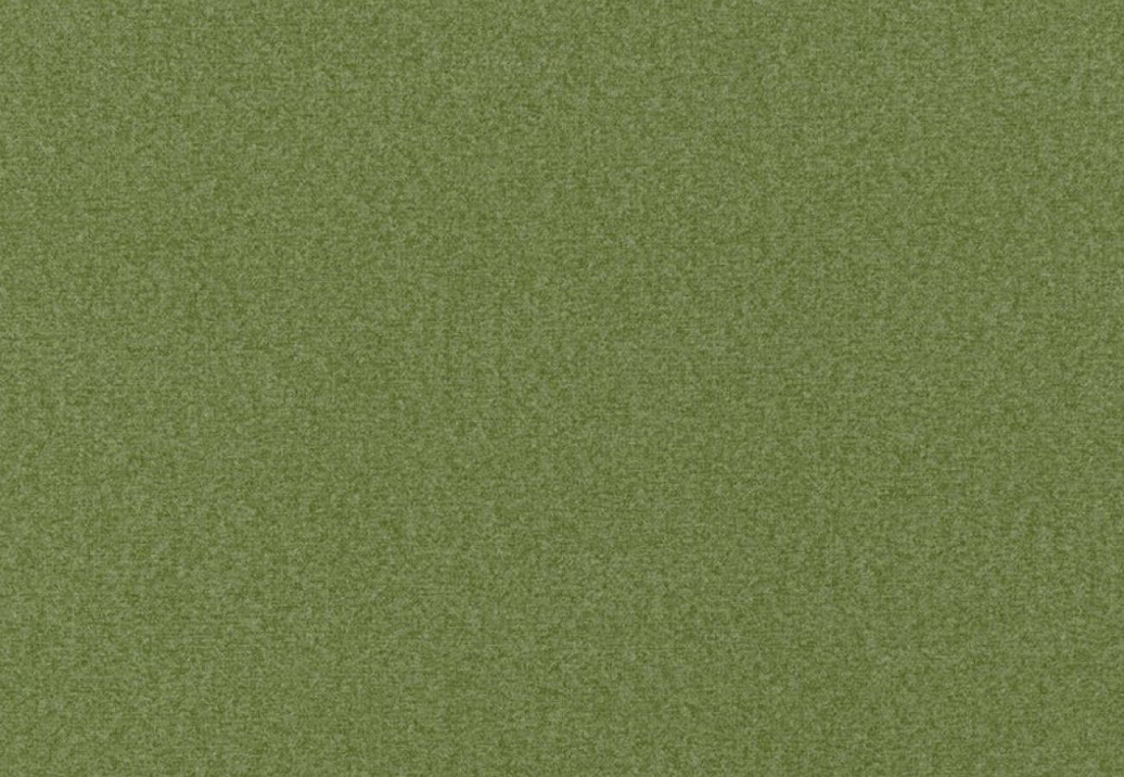 Ткань Designers Guild Loden FDG3009/13