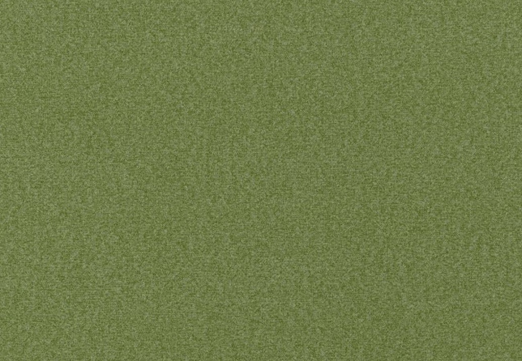 Ткань Designers Guild Loden FDG3009/13