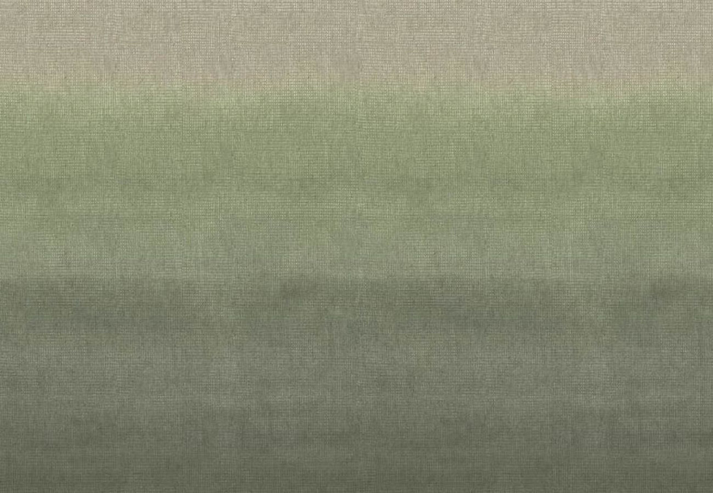 Ткань Designers Guild Shiwa FDG3063/02