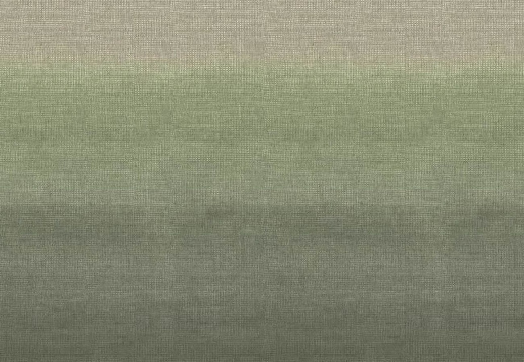 Ткань Designers Guild Shiwa FDG3063/02