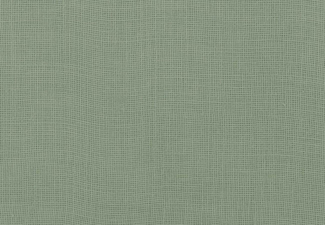 Ткань Designers Guild Shiwa FDG3060/07