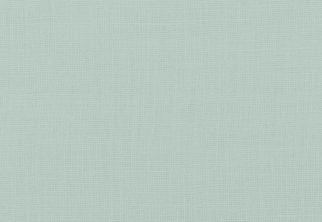 Ткань Designers Guild Shiwa FDG3060/08