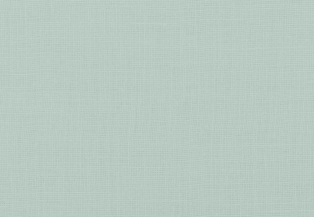 Ткань Designers Guild Shiwa FDG3060/08
