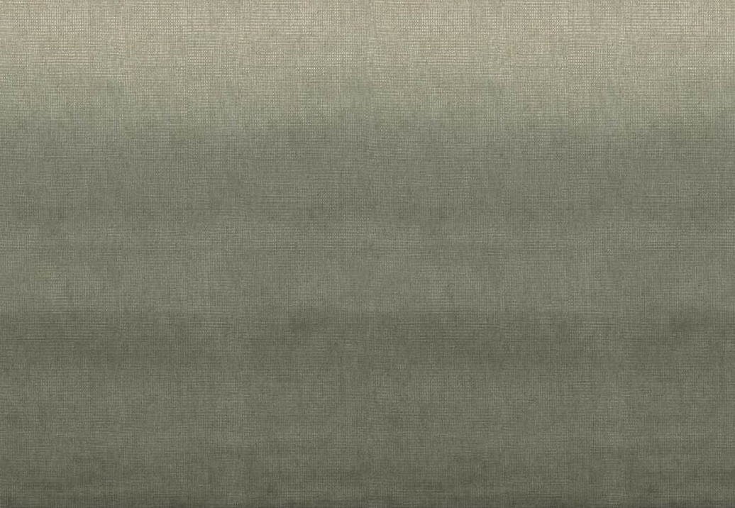 Ткань Designers Guild Shiwa FDG3063/03