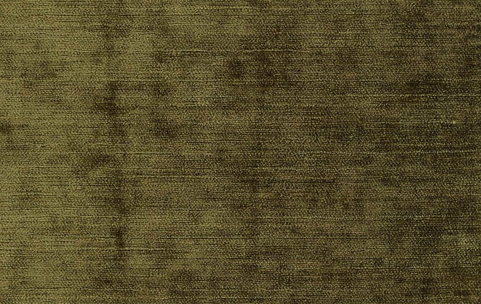 Бельгийская ткань Daylight, коллекция Widi, артикул Widi/Leaf