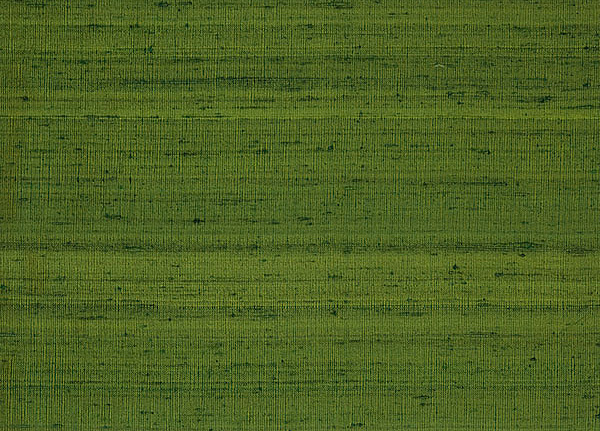 Ткань Designers Guild Chinon F1165/153