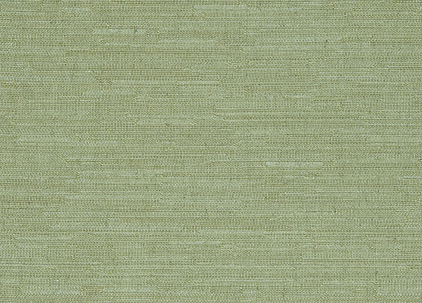 Ткань Designers Guild Ombrione F1176/01