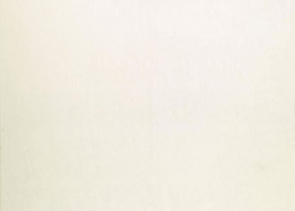 Ткань Designers Guild Molveno F1237/24
