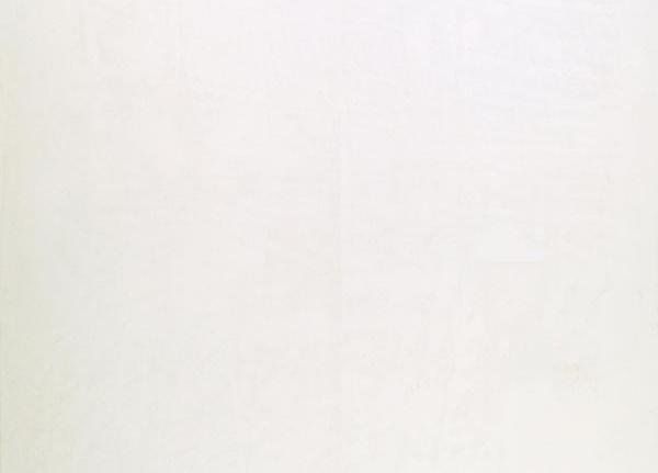 Ткань Designers Guild Molveno F1237/25