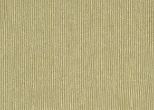 Ткань Designers Guild Chinaz F1352/11