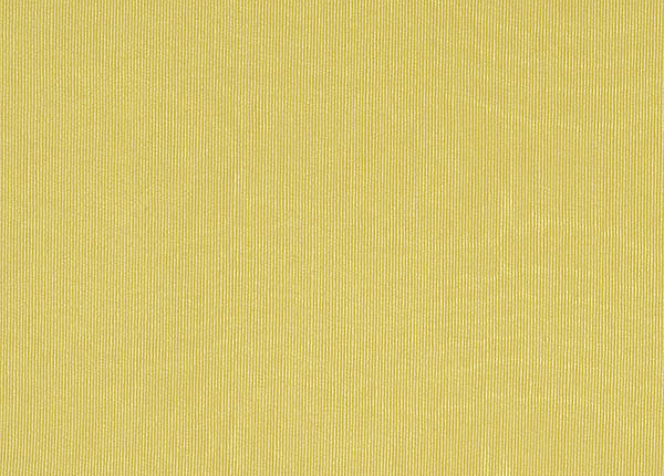 Ткань Designers Guild Chinaz F1352/23
