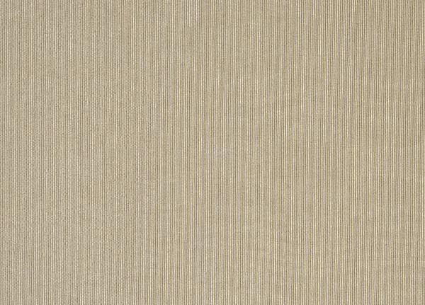 Ткань Designers Guild Naturally 2 F1352/36