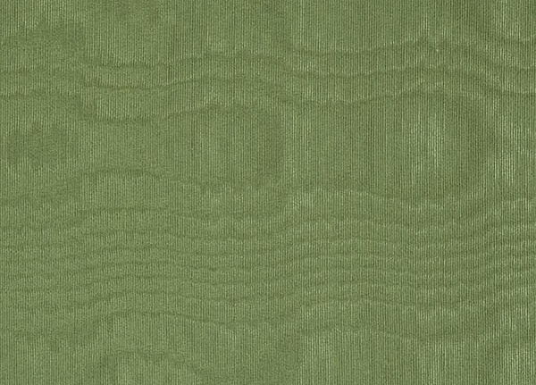 Ткань Designers Guild Chinaz F1352/57