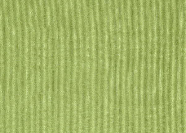 Ткань Designers Guild Chinaz F1352/58