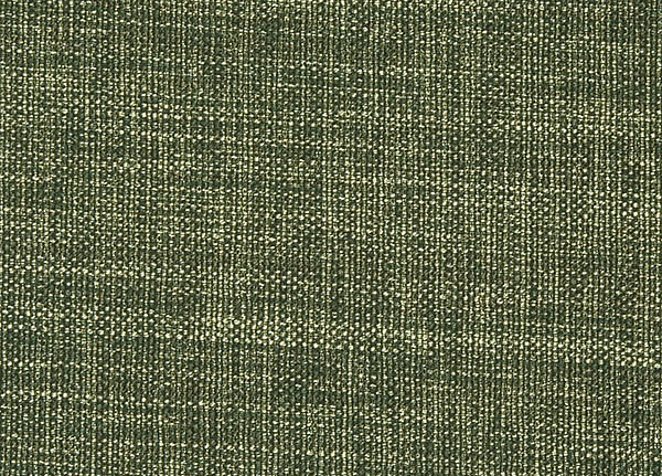 Ткань Designers Guild Rinzu F1393/08