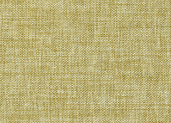 Ткань Designers Guild Rinzu F1393/10